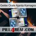 Gelée Orale Ajanta Kamagra viagra5
